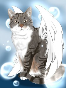 tanyaengel