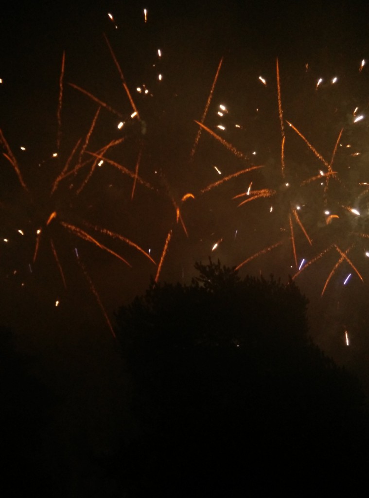 wpid-wp-1420293926279.jpeg