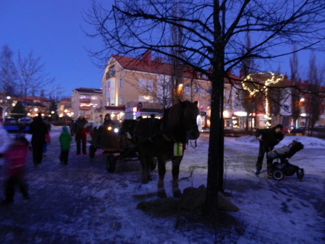 dscn1382