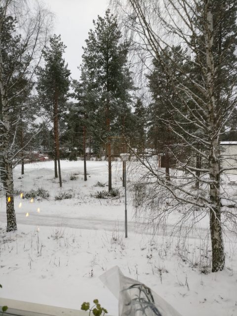 Endelig litt snø :D