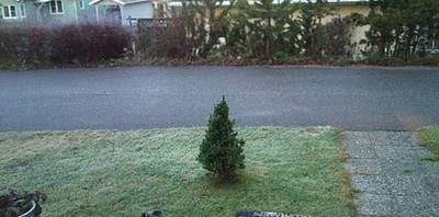Ingen snø enda, og snart første søndag i Advent!