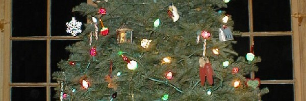 Jul eller Yule… eller bare solfest?