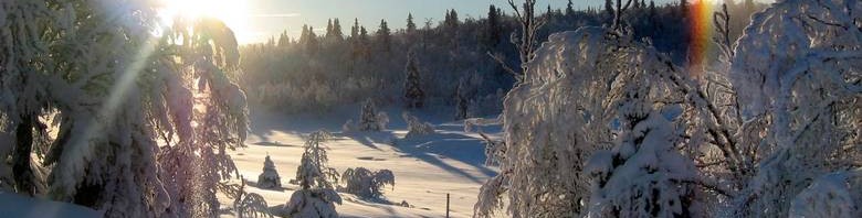 Hvit Jul?