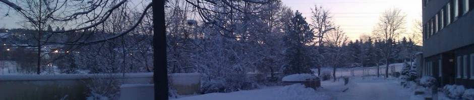 17 desember: Grønn jul?