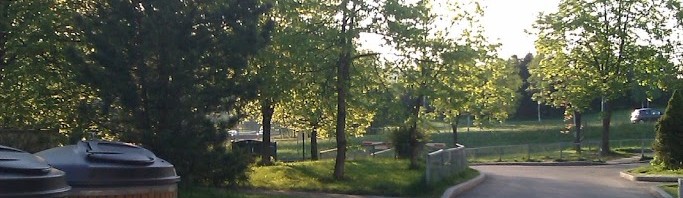 Uke 22 – Sommer