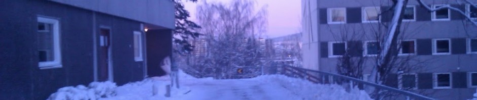 22 desember: Julestress eller ikke?